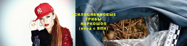 прущие крисы Абаза