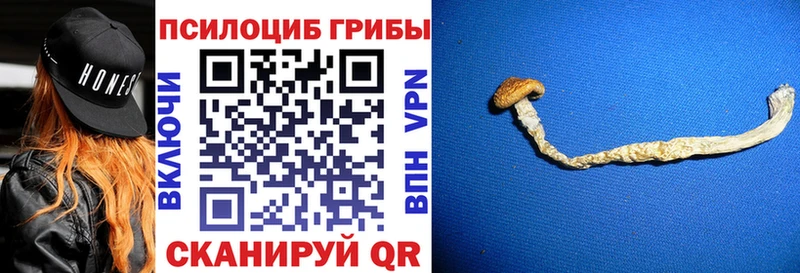 Галлюциногенные грибы ЛСД  Киржач 
