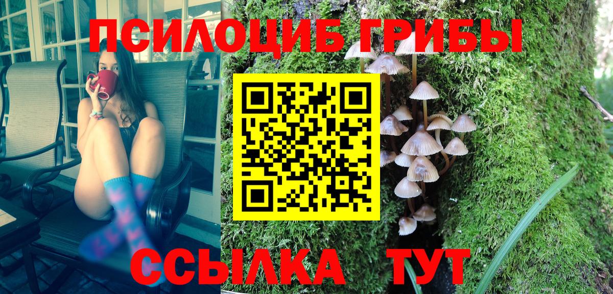 Псилоцибиновые грибы мицелий  Вход с VPN  Псилоцибиновые грибы ЛСД  Киржач 