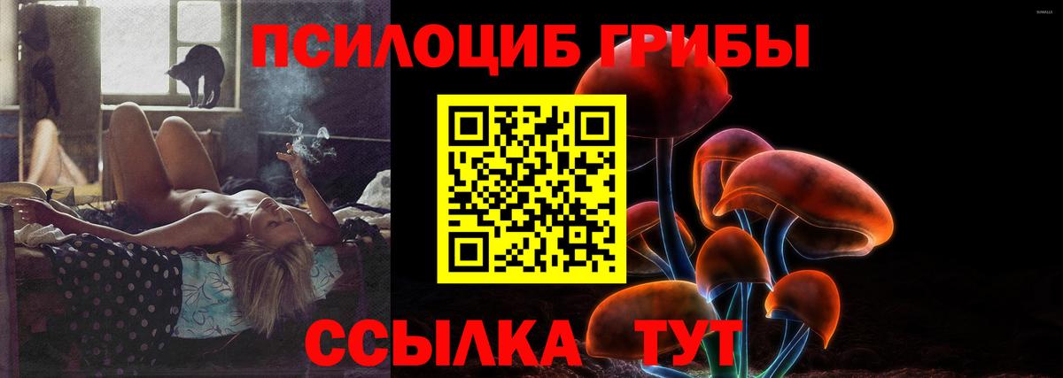 Галлюциногенные грибы MAGIC MUSHROOMS Киржач